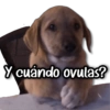 Y cuándo ovulas?