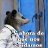 🧿 Tlacuache/ zariguella🦡 8