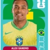 🧿 Laminas Seleccion Brazil🇧🇷 12