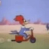 PICAPAU 9