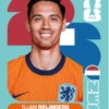 Cromos Seleção dos Países Baixos 🇳🇱 8