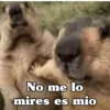 No me lo mires es mio