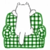 🧿 Gato Relax🐱🐈 14