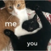 Love cats 6