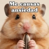 🧿 Anima tu chat😂😋 12