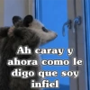 🧿 Tlacuache/ zariguella🦡 29