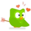 Duolingo (Pack N°2) 20
