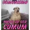 Novos shitpost atualizado 10
