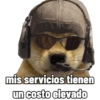 Perritos tácticos 🔥 17