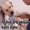 🧿 Memes Variados 17😂😎 7