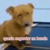 queria engordar na bunda
