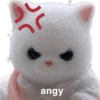ר angy