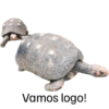 Pets 5
