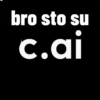 bro sto su c.ai