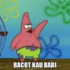 BACOT KAU BABI