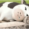 SAPI TIKTOK FILTER COW🐮 10