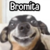 Bromita @animalitosanti.depresivos2.0