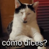 cómo dices?