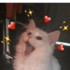 Reações de amor ❤️😻 12