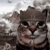 Dilo con gatos 24