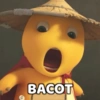 BACOT