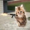 Dilo con gatos 19