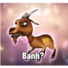 Banh? $8000