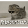 Funny quotes 🤠 7