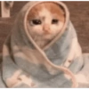 SAD CATT😿😿😭 8