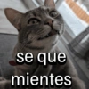 se que mientes