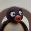 PINGU MEMS 8