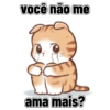 Gatos cantadas 10