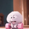 Snowball 5