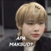 Kpop meme 17