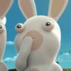 RABBIT  14