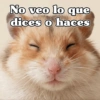 🧿 Anima tu chat😂😋 9