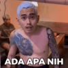 ADA APA NIH