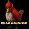 Memes Angry birds 15