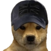 Perritos tácticos 🔥 21