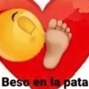 Memes 21