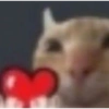 Memes 18
