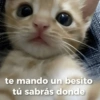 te mando un besito tú sabrás donde
