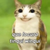 Meowl 🐱🦉 25