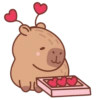 Capibara Valentin ❣️ 10