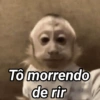 Tô morrendo de rir