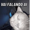 Memes boa noite 13