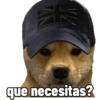 Perritos tácticos 🔥 23