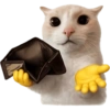 Meme Kucing Imut #4 12
