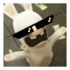 RABBIT  12