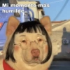 Solo Memes😌 30